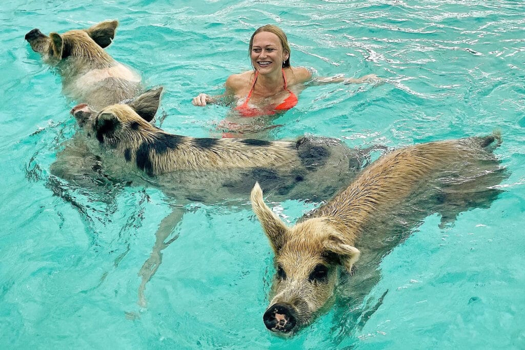 swimming-with-pigs-big-mayor-cay2-scaled